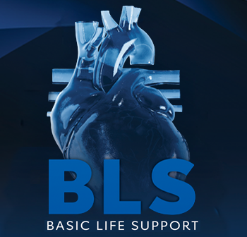 BLS Basic Life Support AHA 2025