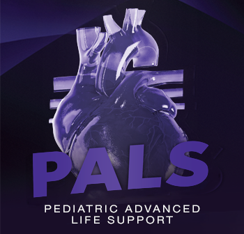 PALS Pediatric Advanced Life Support AHA
